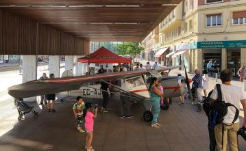 auster