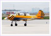 yak-52