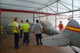 Auster